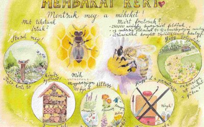 Méhbarát kertek – illusztráció